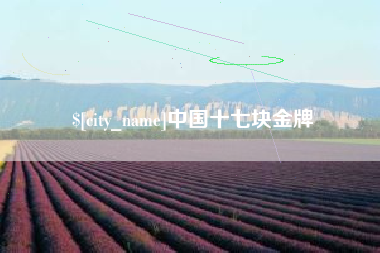 温县中国十七块金牌