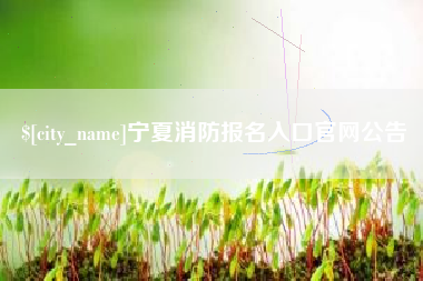 温县宁夏消防报名入口官网公告