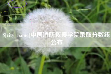 温县中国消防救援学院录取分数线公布