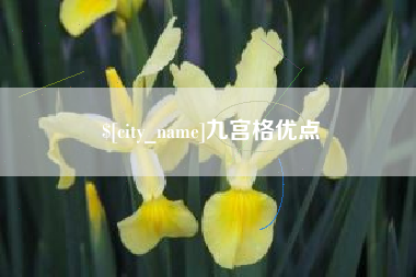 温县九宫格优点