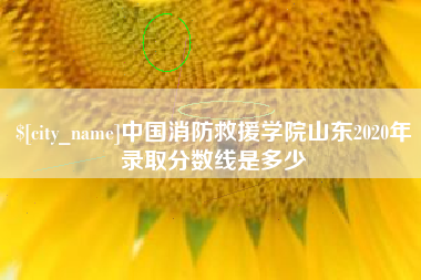 温县中国消防救援学院山东2020年录取分数线是多少