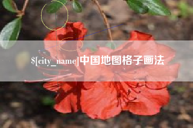 温县中国地图格子画法