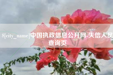 温县中国执政信息公开网-失信人员查询页