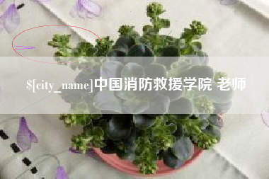 温县中国消防救援学院 老师