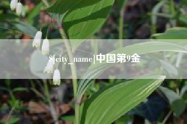 温县中国第9金