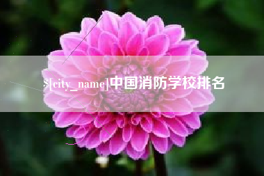 温县中国消防学校排名