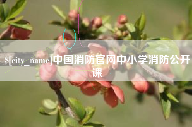 温县中国消防官网中小学消防公开课