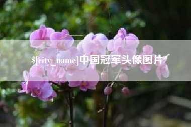 温县中国冠军头像图片