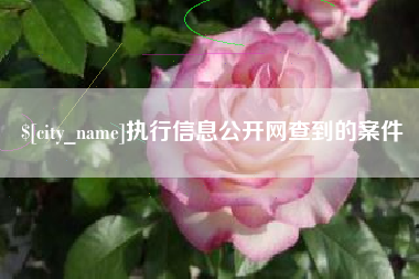温县执行信息公开网查到的案件