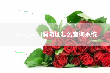 温县消防证怎么查询系统