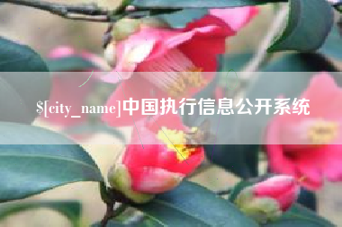 温县中国执行信息公开系统