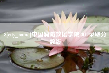 温县中国消防救援学院2019录取分数线