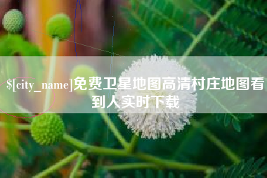 温县免费卫星地图高清村庄地图看到人实时下载