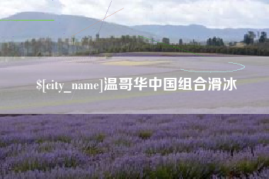 温县温哥华中国组合滑冰