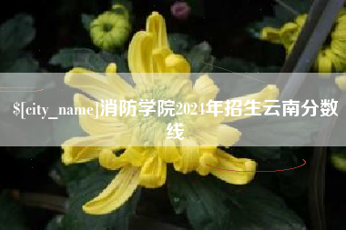 温县消防学院2024年招生云南分数线