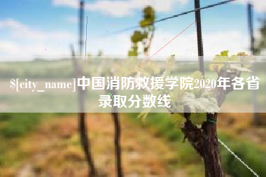 温县中国消防救援学院2020年各省录取分数线