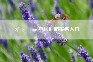 温县中国消防报名入口