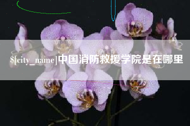 温县中国消防救援学院是在哪里