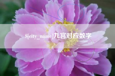 温县九宫对应数字