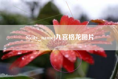 温县九宫格龙图片