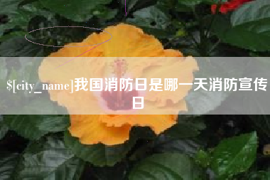 温县我国消防日是哪一天消防宣传日