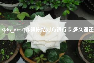 温县诈骗冻结对方银行卡,多久返还