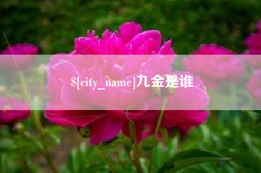 温县九金是谁