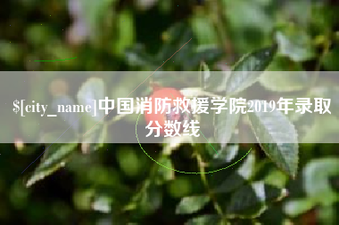 温县中国消防救援学院2019年录取分数线