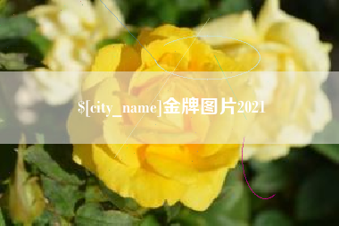 温县金牌图片2021