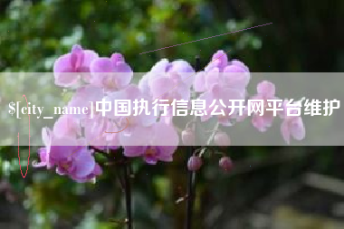 温县中国执行信息公开网平台维护
