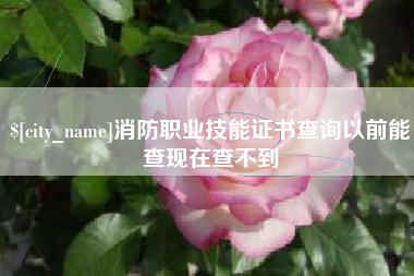 温县消防职业技能证书查询以前能查现在查不到