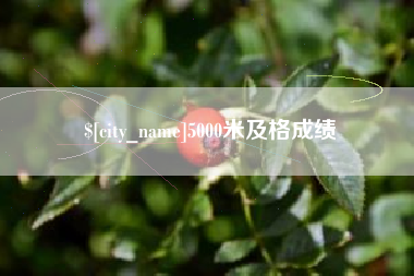 温县5000米及格成绩