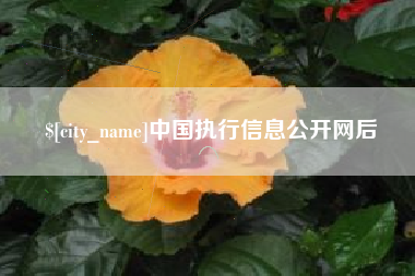 温县中国执行信息公开网后