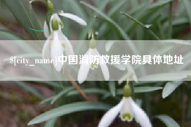 温县中国消防救援学院具体地址