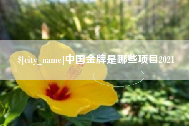 温县中国金牌是哪些项目2021