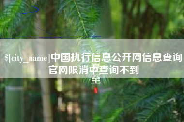 温县中国执行信息公开网信息查询官网限消中查询不到