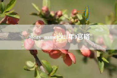 温县2021年9宫格