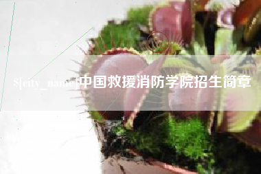 温县中国救援消防学院招生简章