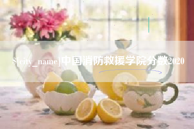 温县中国消防救援学院分数2020