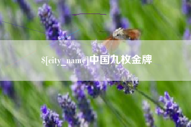 温县中国九枚金牌