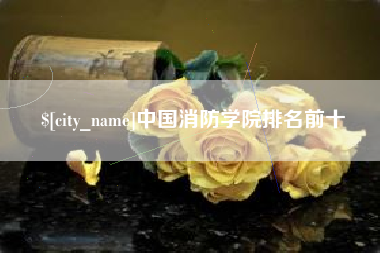 温县中国消防学院排名前十