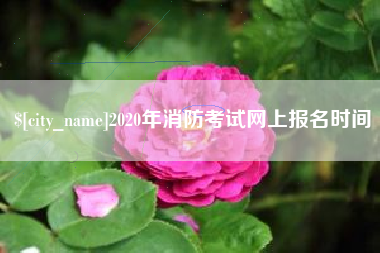 温县2020年消防考试网上报名时间