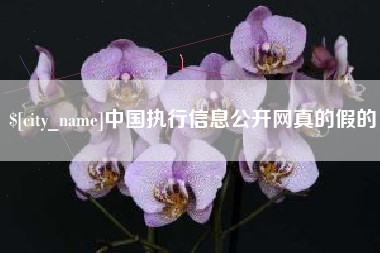 温县中国执行信息公开网真的假的