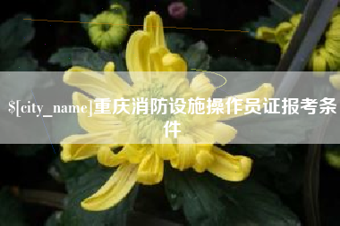 温县重庆消防设施操作员证报考条件