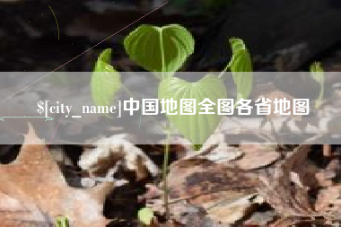 温县中国地图全图各省地图