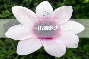 温县我国多少个金牌