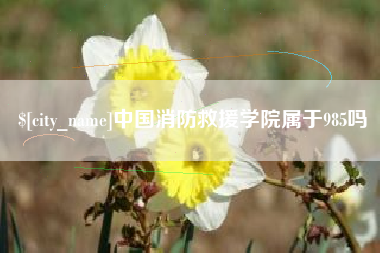 温县中国消防救援学院属于985吗