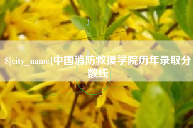 温县中国消防救援学院历年录取分数线