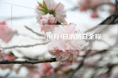 温县11月9日消防日全称