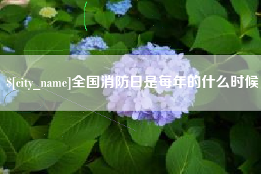 温县全国消防日是每年的什么时候